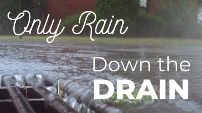Only Rain Down the Drain